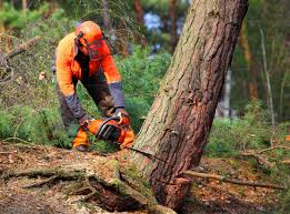 Lawn Watering Services in Saw Creek, PA